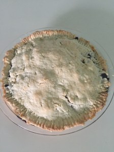blueberry pie 3
